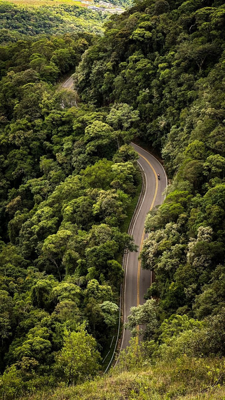 Natureza exuberante do Brasil com rios e florestas tropical